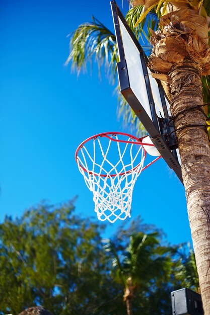 Basketball board ring on summer day on blue sky and green tree palm