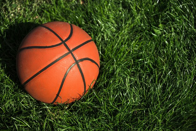 Basketball on grass close up