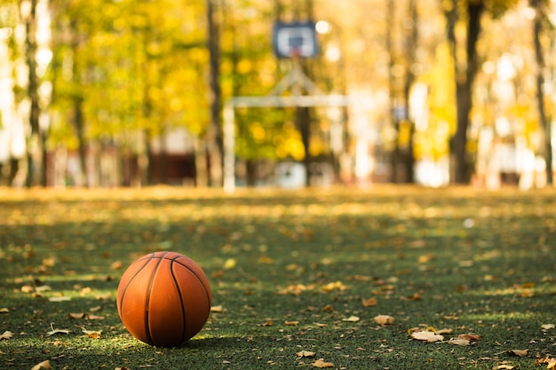 Basketball on green grass