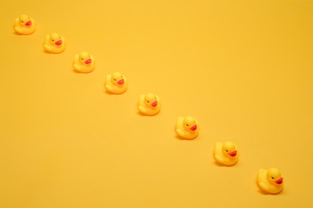 Free photo bath ducks in a row