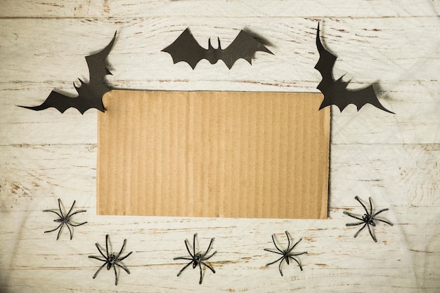 Free photo bats and spiders near cardboard