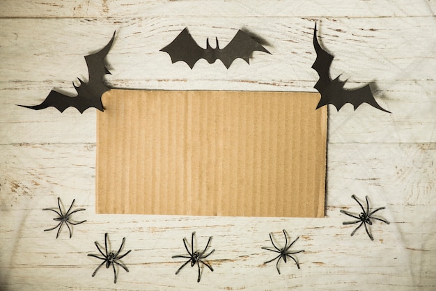 Bats and spiders near cardboard