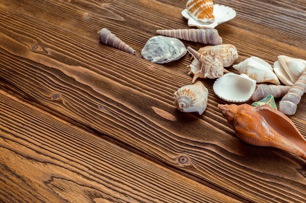 Beach accessories on wooden board