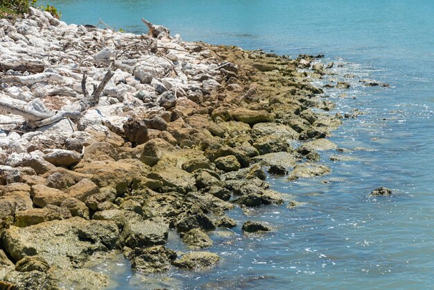 Beach Amber Cove Puerto Plata Province Dominican Republic