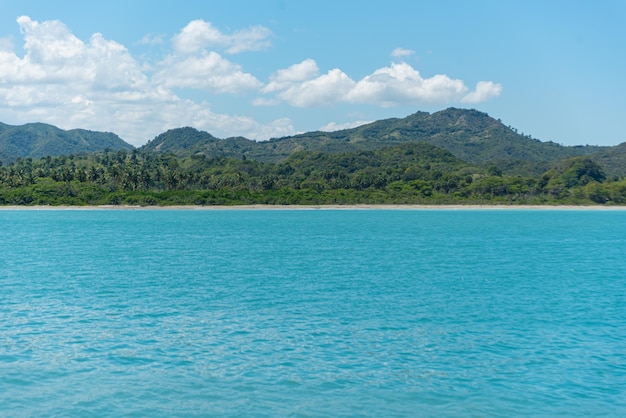 Foto gratuita spiaggia amber cove provincia di puerto plata repubblica dominicana