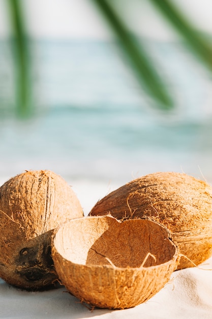 Пляж фон с кокосом