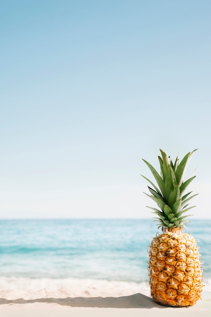 Foto gratuita fondo della spiaggia con ananas e copyspace