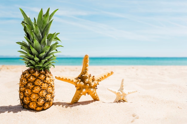 Beach background with pineapple and starfish