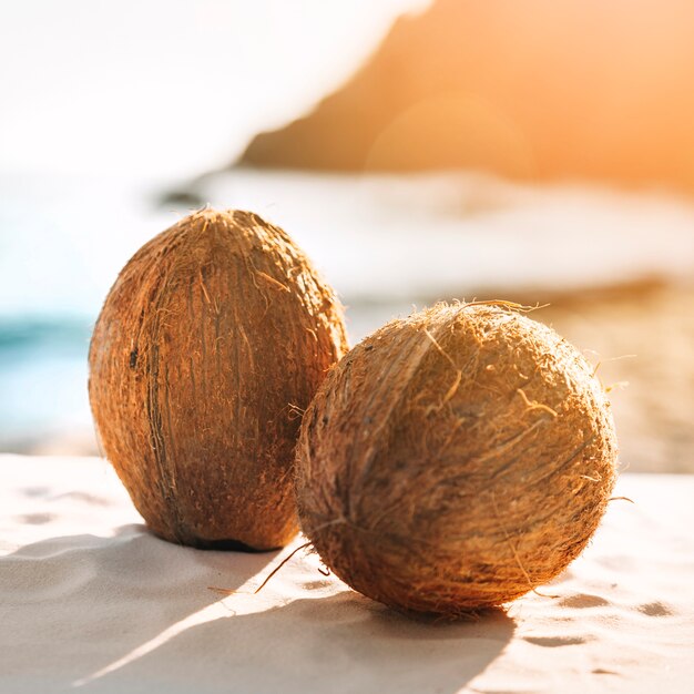 두 코코넛 해변 배경