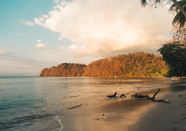 Free photo beach and calm ocean in sunset lights