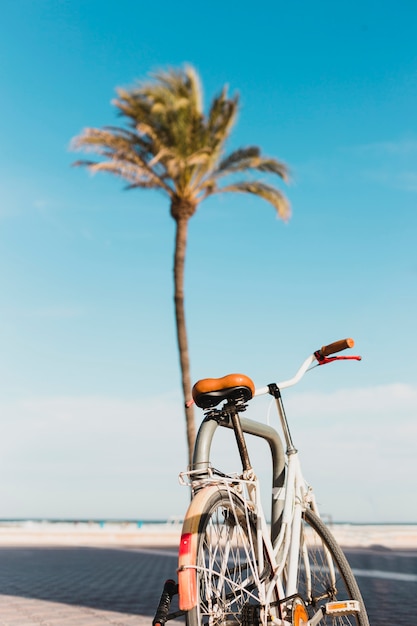 Бесплатное фото Концепция пляжа с велосипедом