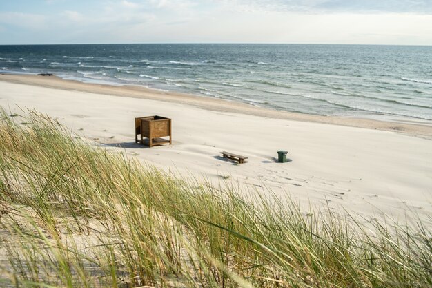 Пляж, покрытый травой, с деревянными скамейками на нем, в окружении моря под солнечным светом
