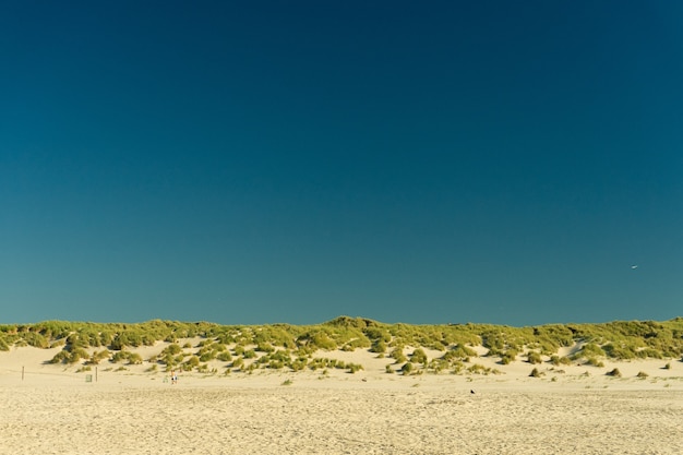 하늘 아래 네덜란드 Terschelling 섬에 해변