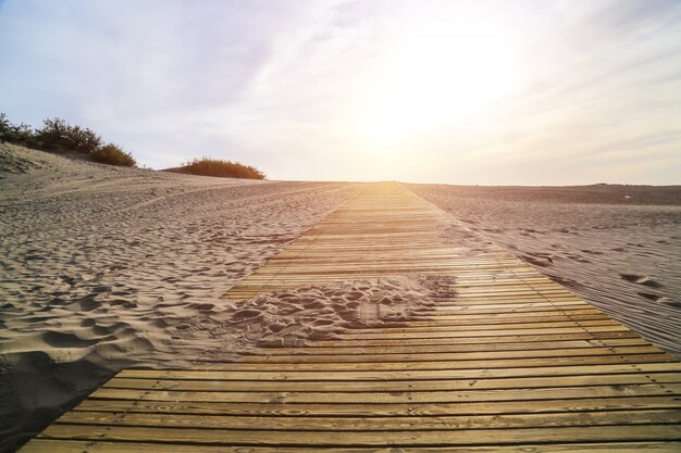 Beach landscape view