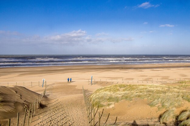 beach landscape