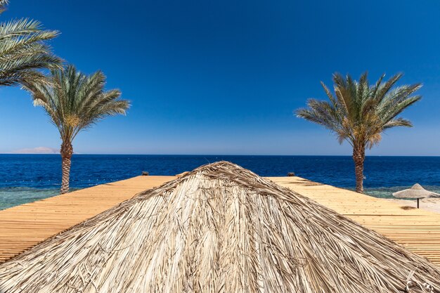 エジプト、シャルムエルシェイクの高級ホテルのビーチ