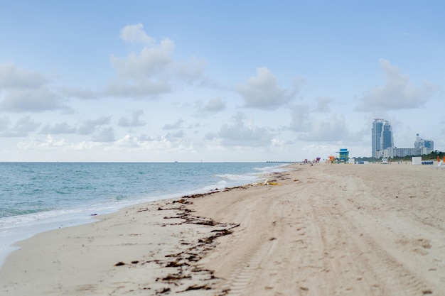 Beach Miami Florida USA, coastline