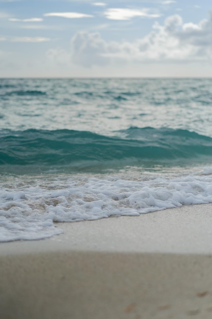 Beach Miami Florida USA, coastline