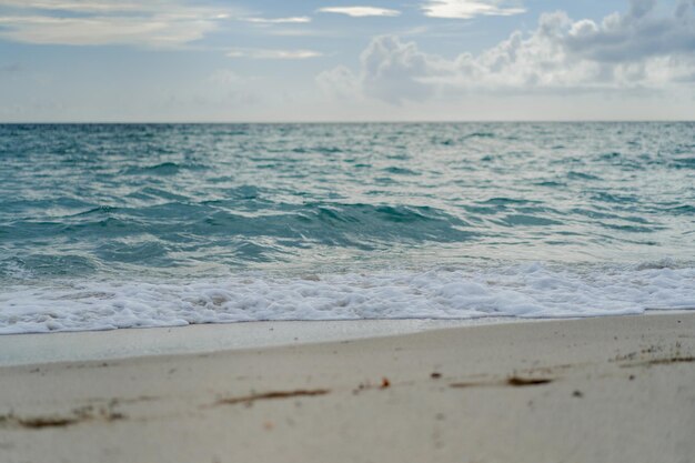 Beach Miami Florida USA, coastline