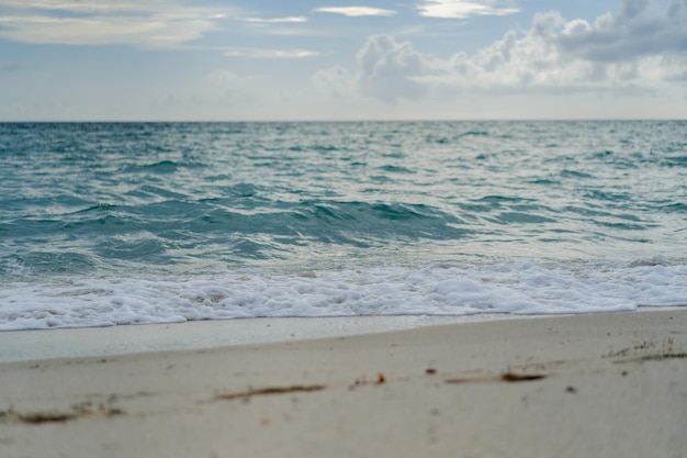 해변 마이애미 플로리다 미국, 해안선