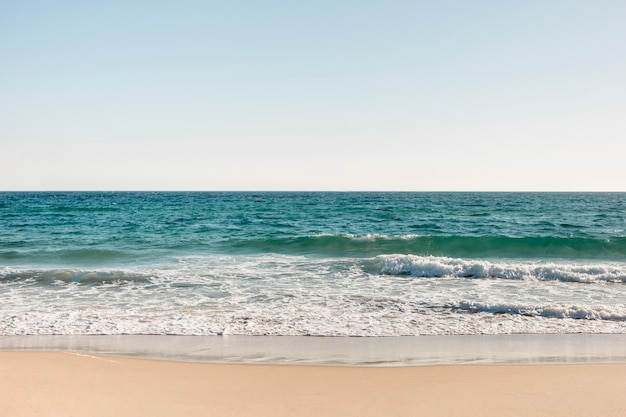 Beach and ocean in summertime