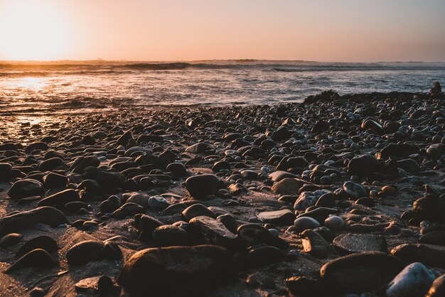 Beach rocks washed up by the waves of the ocean