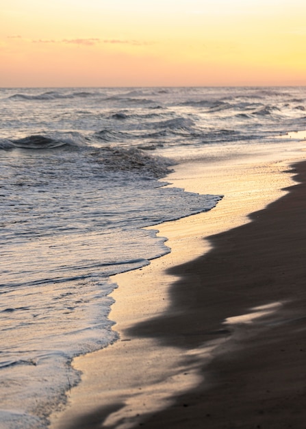 Foto gratuita spiaggia di sabbia vicino all'oceano tranquillo