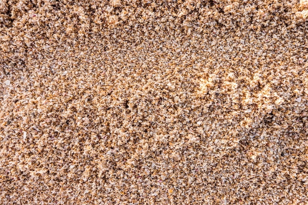 Foto gratuita trama di sabbia della spiaggia