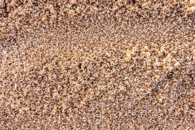 Beach sand texture