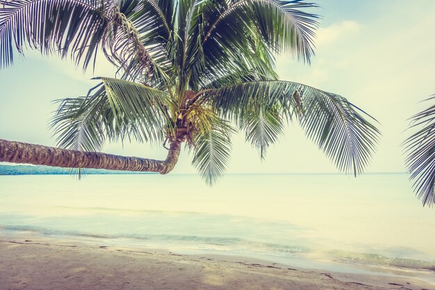 Beach and sea