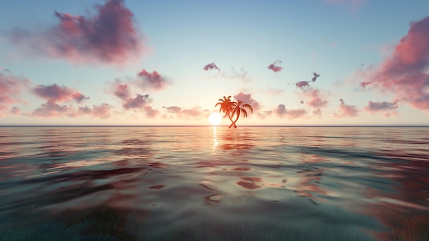 Beach at sunset with a small palm tree