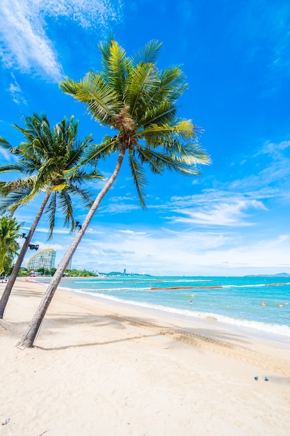 Beach with palm trees