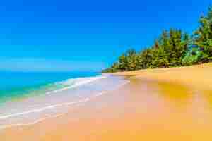 Free photo beach with wet sand and trees in background