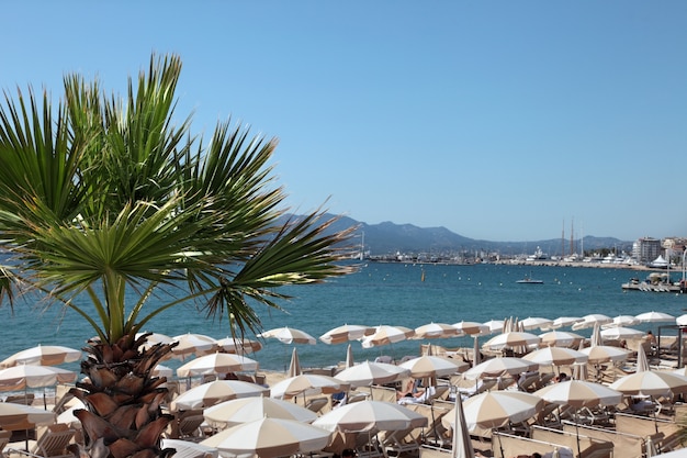  beachfront scene at cannes france