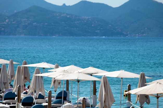 Beachfront with parasols in cannes france