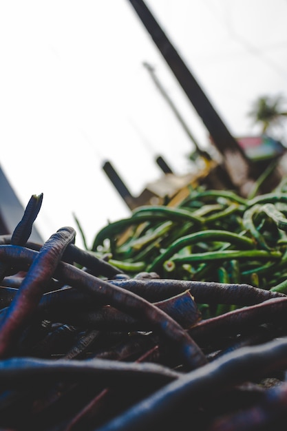 Free photo beans in a market in india