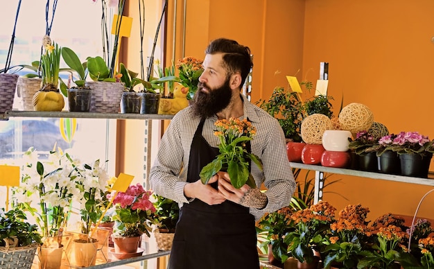 The bearded male flower seller holds flowers in a pot in a garden market shop.