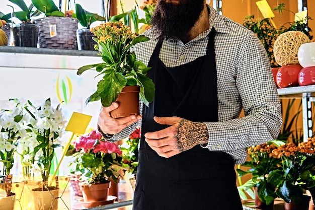 Bearded male with tattooed arms holds a pot with flowers.