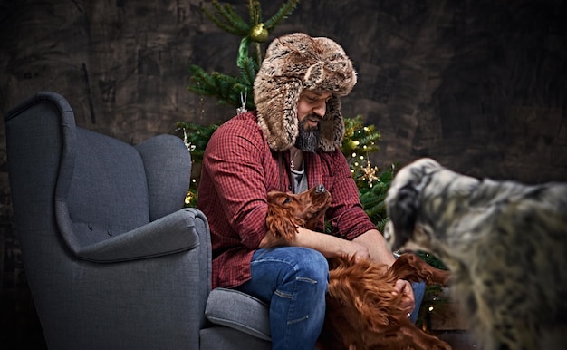 Bearded middle age male dressed in a plaid shirt and fur hat and two Irish setter dogs with fir tree and Christmas decoration on background.