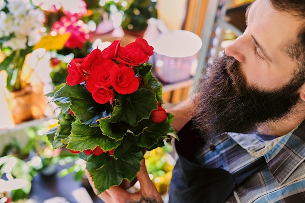 The bearded stylish flower seller holds pink roses in a market shop.