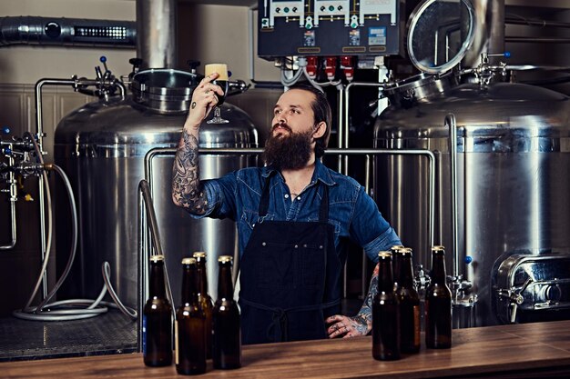Bearded tattooed hipster male in a jeans shirt and apron working in a brewery factory, standing behind a counter, looks at beer in a glass for quality control.