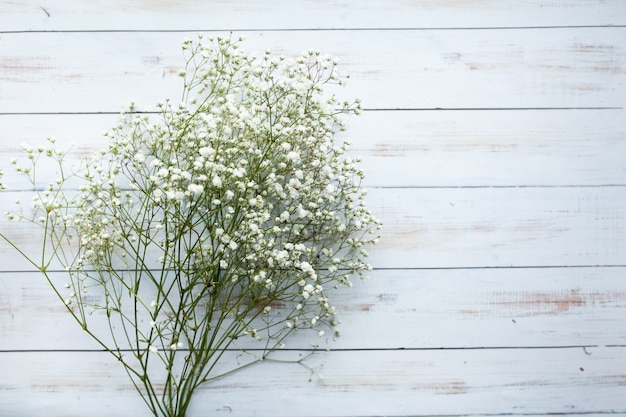 Foto gratuita bellezze sfondo giorno madri fiore