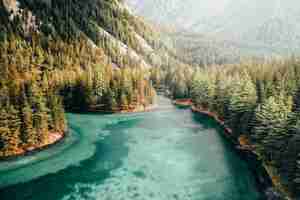 Foto gratuita bello colpo aereo di un fiume blu che funziona in una foresta