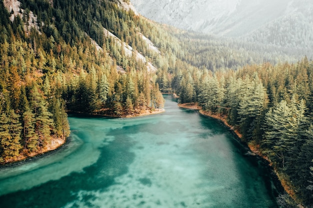 Beautiful aerial shot of a blue river running in a forest