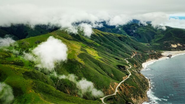 Beautiful aerial shot of the coast of the sea with green leaves and cloudy amazing sky