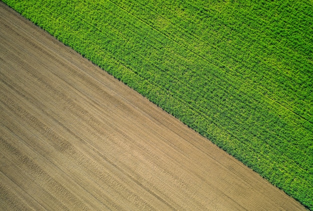 Beautiful aerial shot of a green agricultural field