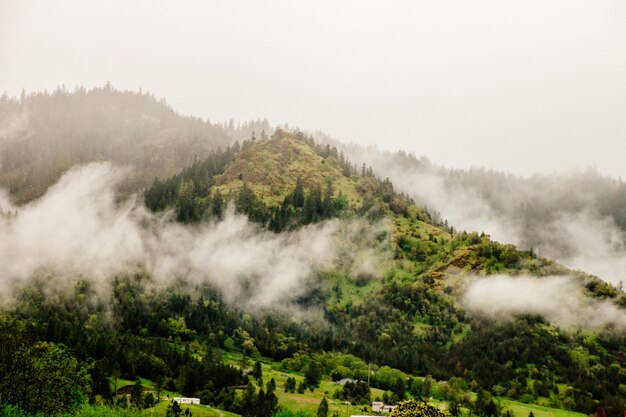 Beautiful aerial shot of a mountain enveloped by clouds