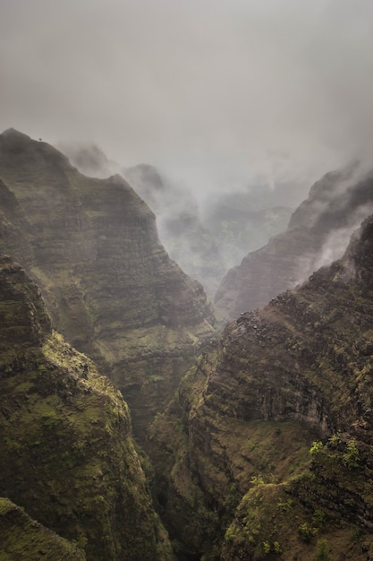 Beautiful aerial shot of rocky and foggy mountains of Waimea Canyon, United States