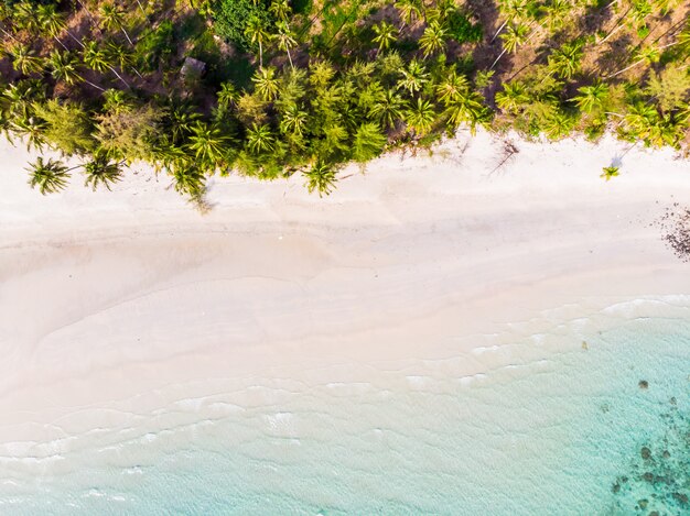 Красивый вид с воздуха на пляж и море с кокосовой пальмой