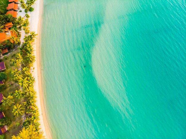 코코넛 야자수와 해변과 바다의 아름다운 공중보기